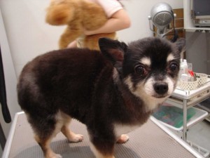 DSC02469