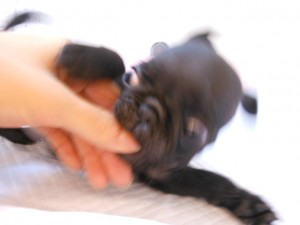 DSCN6269