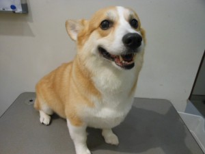 DSCN6300