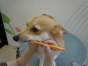 DSCN7047