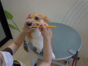 DSCN7049