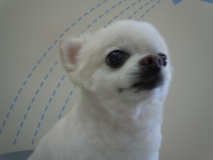 DSCN7154