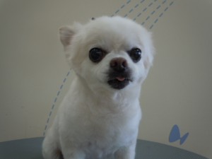 DSCN7156