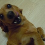 DSCN7401
