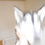 1 (3)