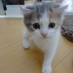 DSC00061