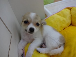 DSC00071