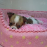 DSCN0275