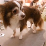 DSCN1041