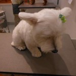 DSCN1047