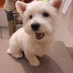 DSCN1052