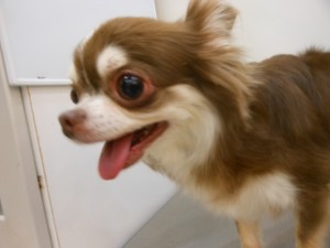 DSCN5532