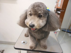 DSCN5560