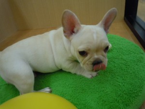 DSCN9761