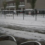 IMG_1654