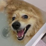 CIMG7175