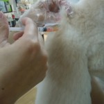 DSCN0019