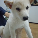 DSCN0021