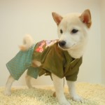 DSCN0039