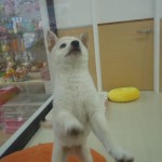 DSCN0061
