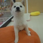 DSCN0063