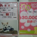 DSCN0065