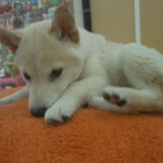 DSCN0067