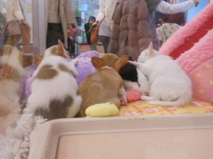 DSCN5489
