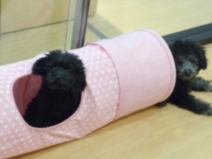 DSCN9426