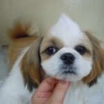 DSCN9554