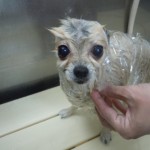 DSCN9580