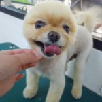 DSCN9770