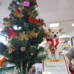 DSCN9985