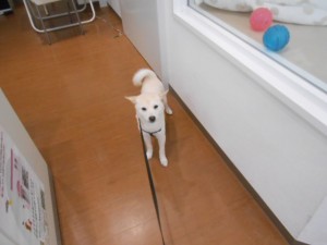 画像1 007
