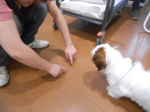 画像1 015