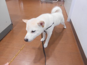 画像1 005