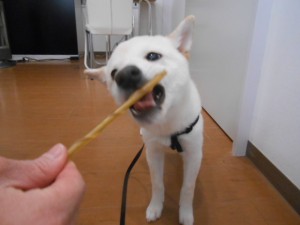 画像1 003