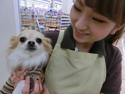まめた1