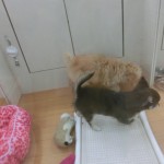 CIMG3328