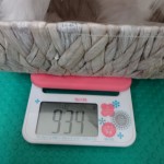 DSC01309
