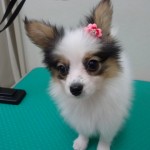 DSC01325