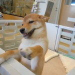 DSCN0129