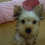 DSCN0179