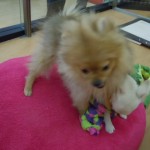 DSCN0188