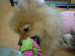 DSCN0191