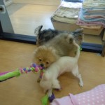 DSCN0192