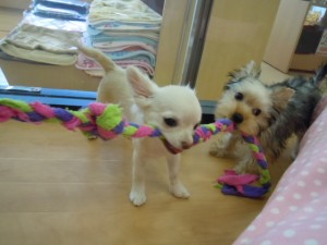 DSCN0199