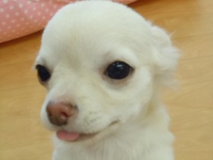 DSCN0204