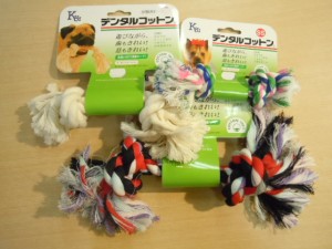DSCN0208