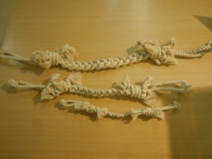 DSCN0209